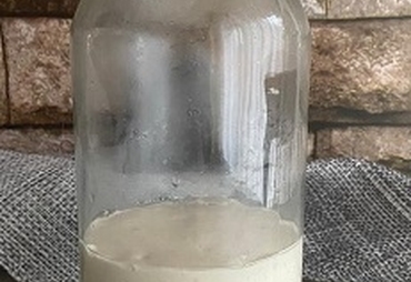 LICOLI: LIEVITO MADRE LIQUIDO FATTO IN CASA